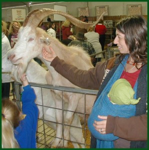 Goat Goat, Annabelle, and I