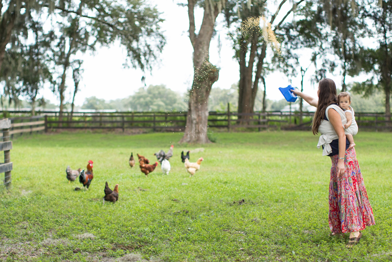 Farm Babywearing: feeding chickens; wrapping toddler.