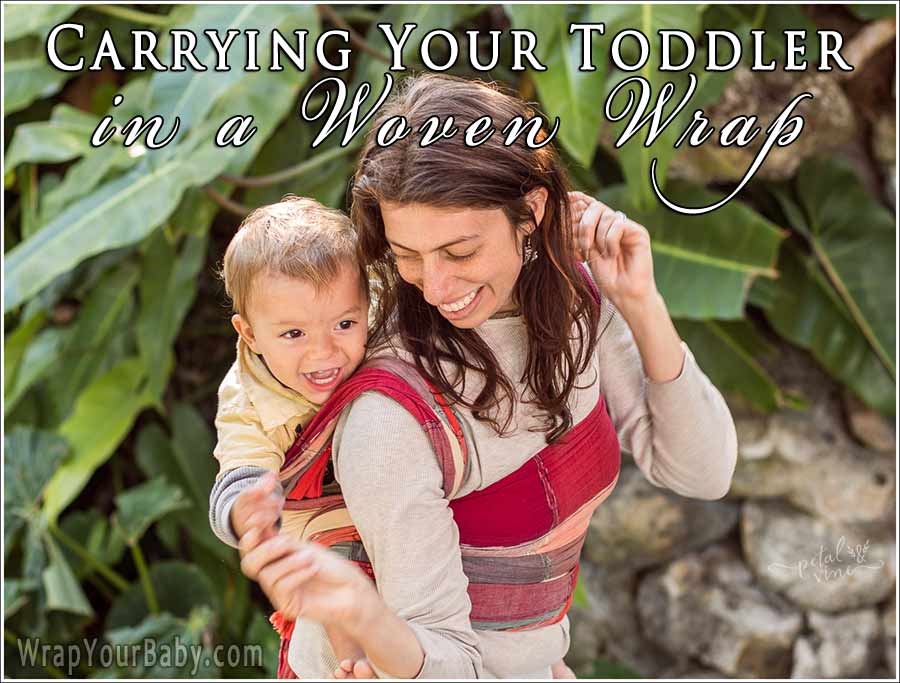 moby wrap back carry toddler